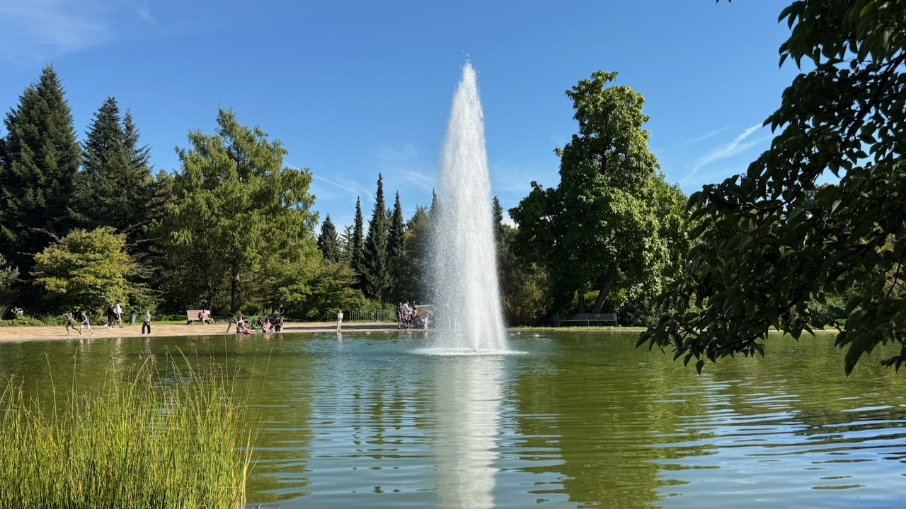 Galerie